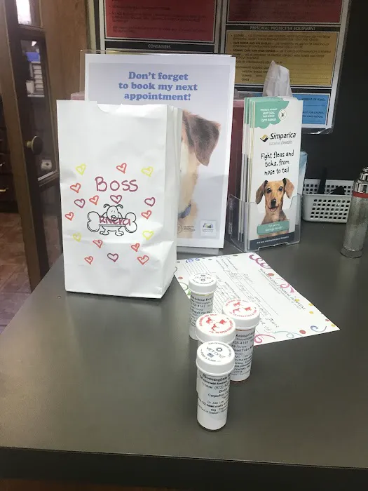 Bloomingdale Animal Hospital Picture 3