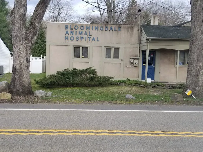 Bloomingdale Animal Hospital Picture 2