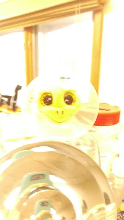 Bloomingdale Animal Hospital Picture 8