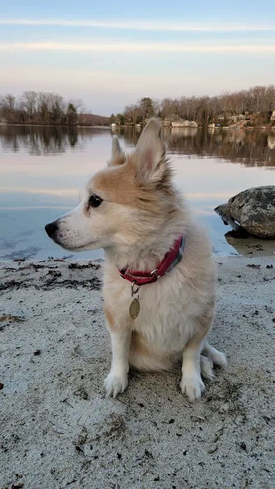 Bloomingdale Animal Hospital Picture 7