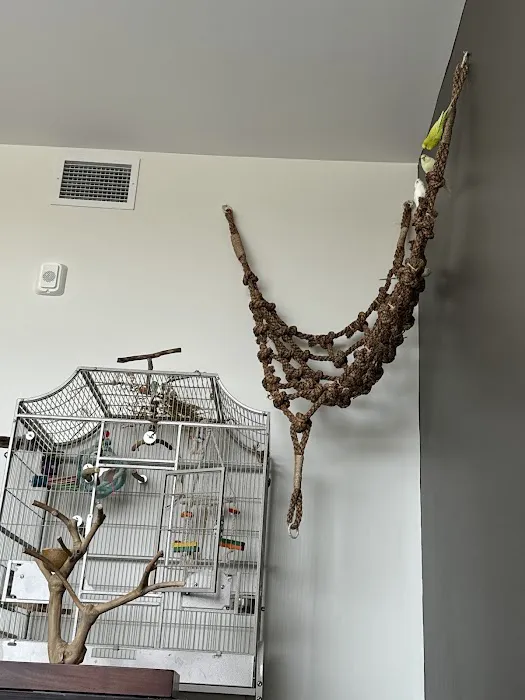 Parrot Island Picture 1