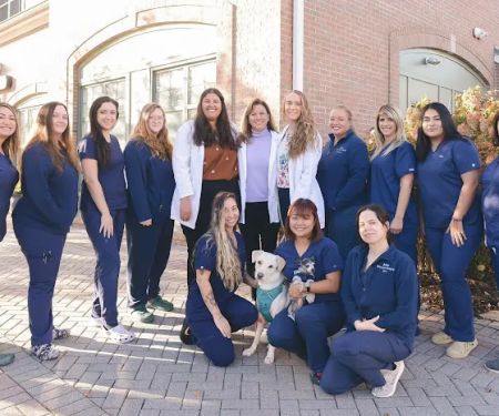 Butler Veterinary Hospital