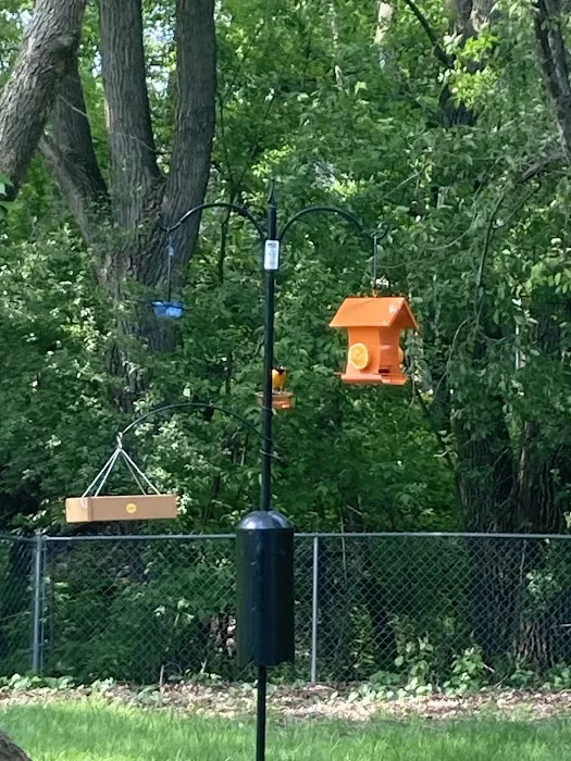 All Seasons Wild Bird Store Picture 5