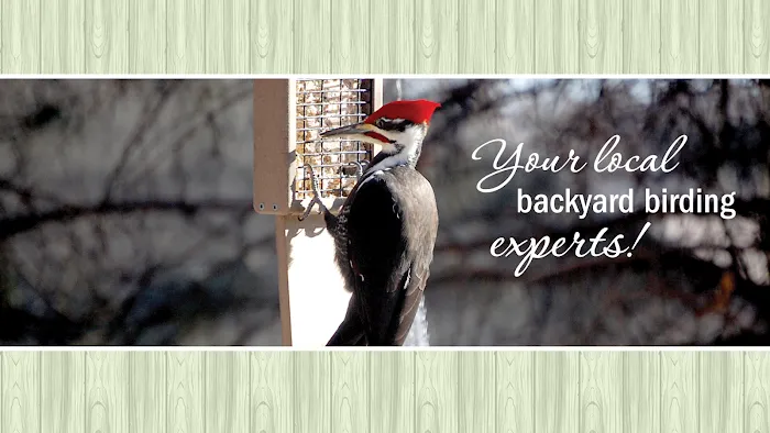 All Seasons Wild Bird Store Picture 7