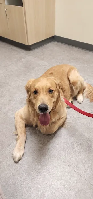 Vetco Total Care Animal Hospital Picture 2