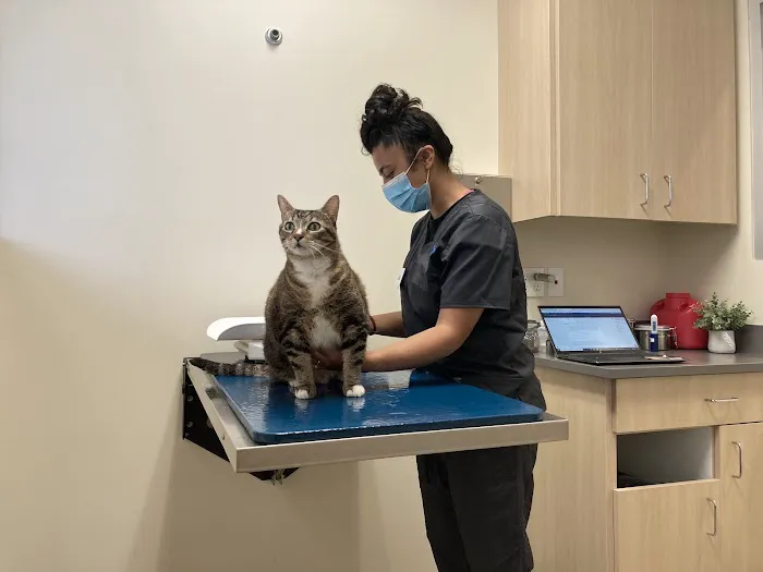 Vetco Total Care Animal Hospital Picture 8