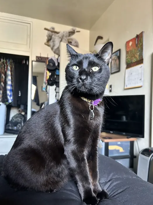 Sova Animal Hospital Picture 7