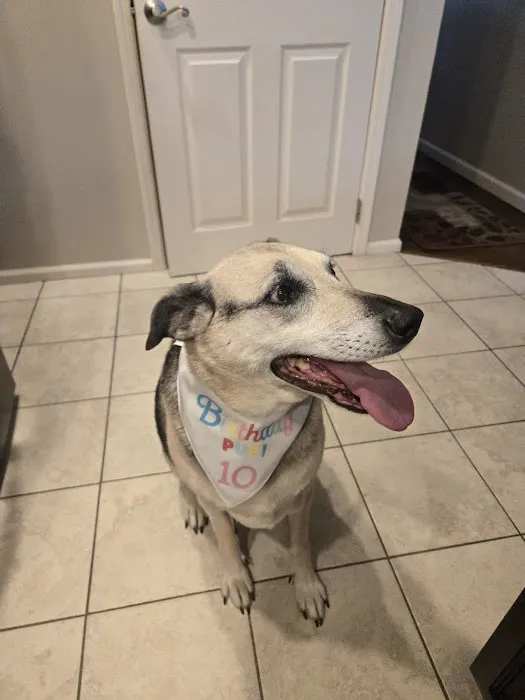 Sova Animal Hospital Picture 2