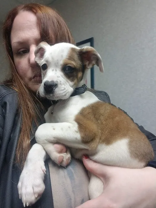 Sova Animal Hospital Picture 4