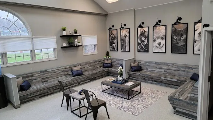 Sova Animal Hospital Picture 8