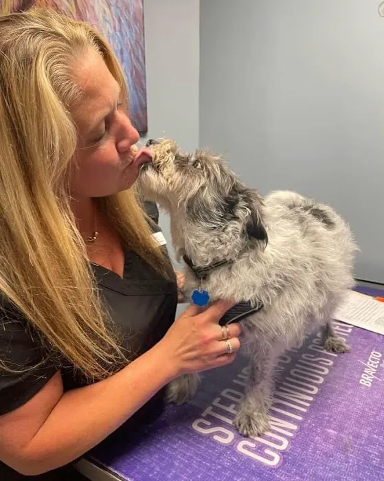 Sova Animal Hospital Picture 9