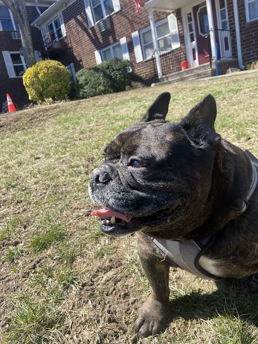 Sova Animal Hospital Picture 10