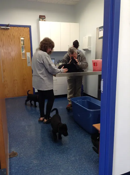 Skylands Primary Pet Care Picture 10