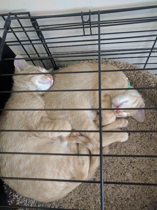 Chuck & Don's Pet Food & Supplies Picture 7