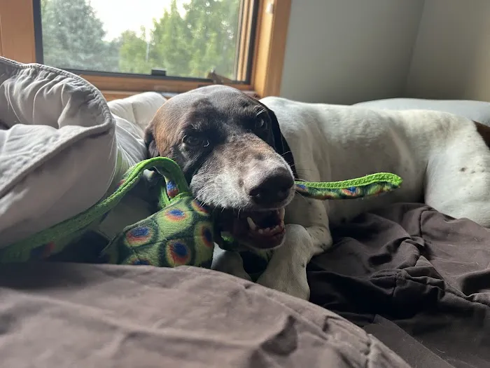 Chuck & Don's Pet Food & Supplies Picture 5