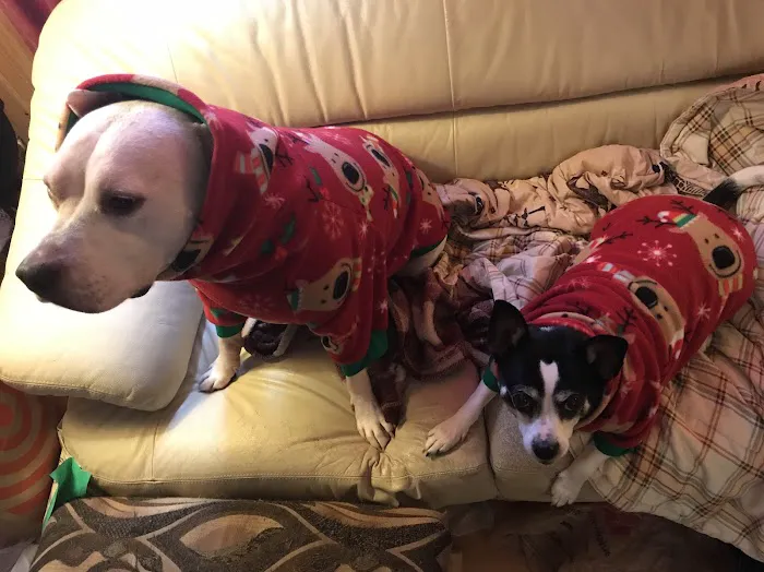 Chuck & Don's Pet Food & Supplies Picture 1