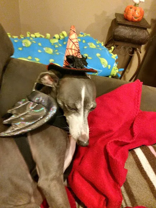 Chuck & Don's Pet Food & Supplies Picture 2