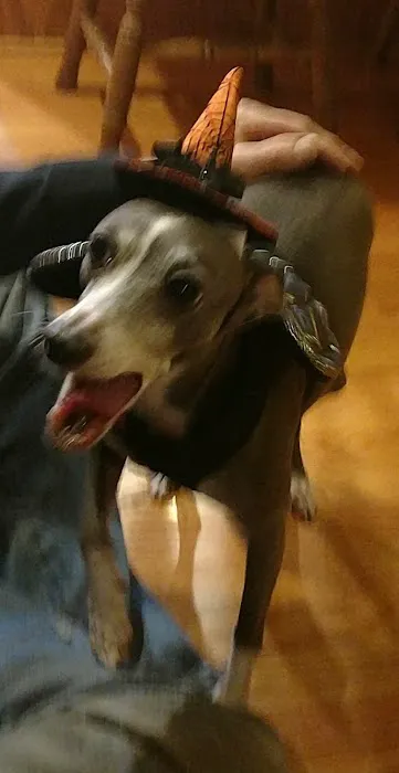 Chuck & Don's Pet Food & Supplies Picture 8