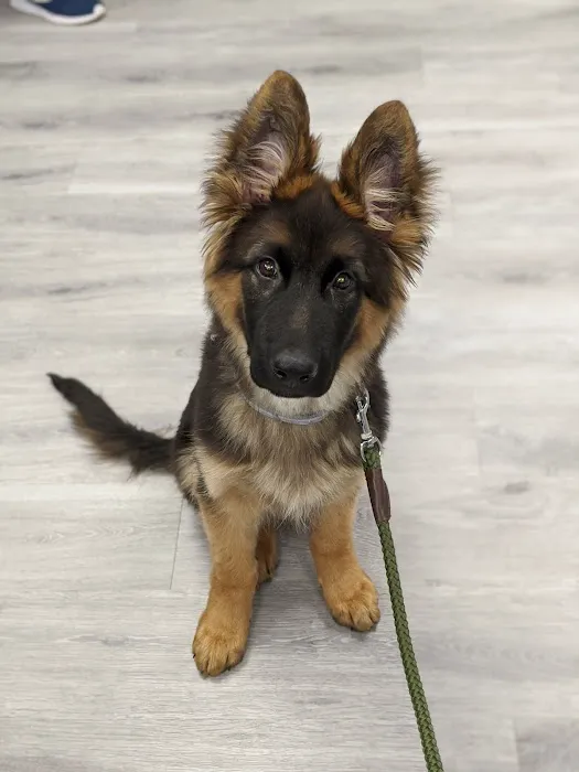 Loving Care Veterinary Hospital Picture 2