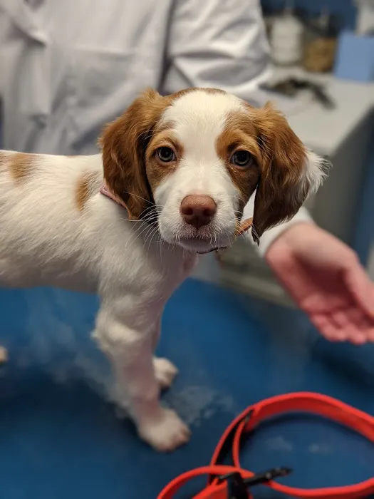 Loving Care Veterinary Hospital Picture 9