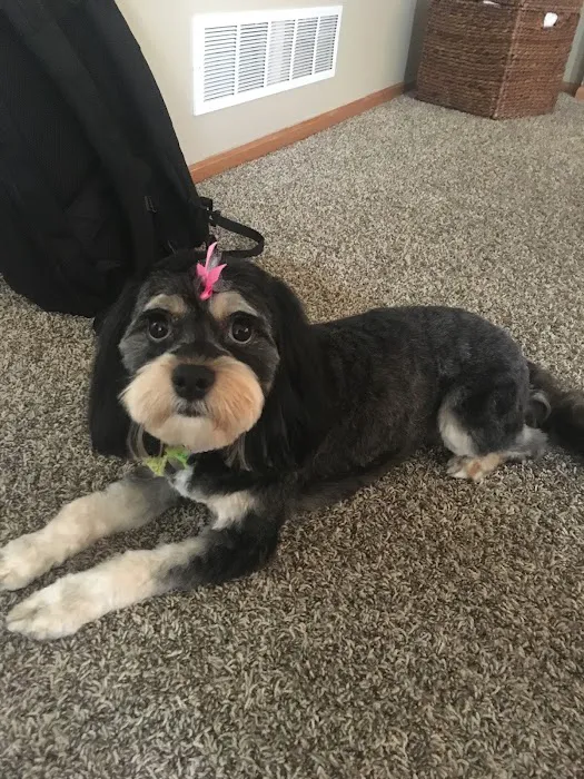 Muddy Paws Grooming Salon Picture 1