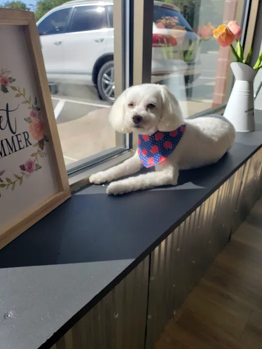 Muddy Paws Grooming Salon Picture 2