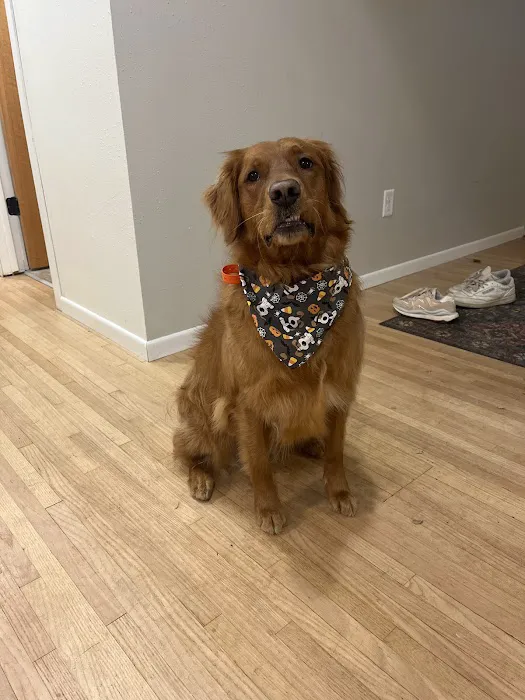 Muddy Paws Grooming Salon Picture 8