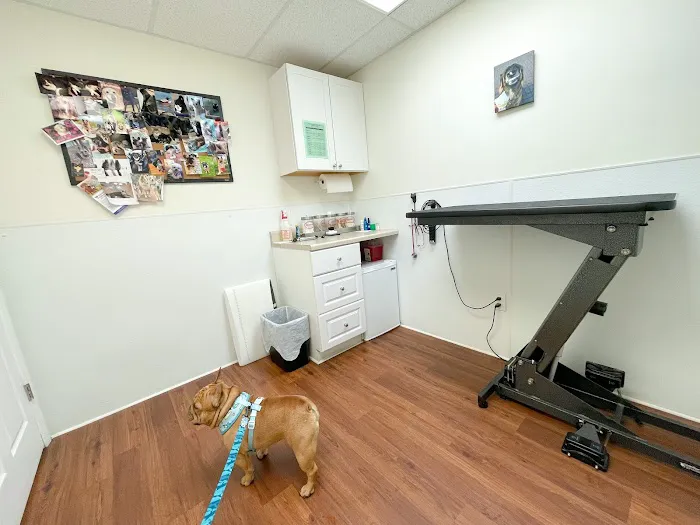 Complete Veterinary Care Picture 3