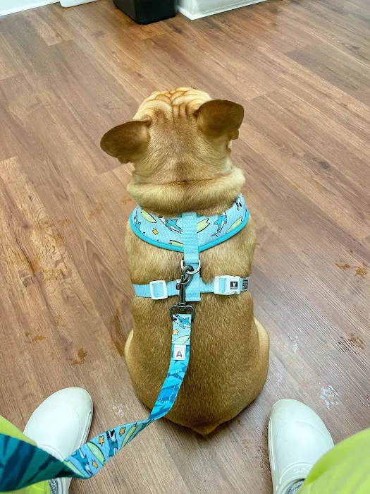 Complete Veterinary Care Picture 9
