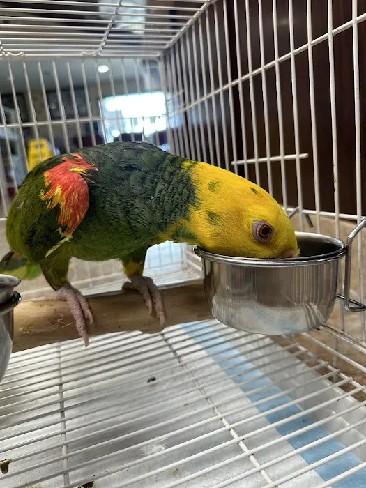 All Creatures Great and Small Animal Hospital Picture 2