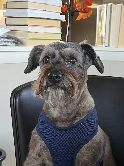 Willowbrook Animal Clinic Picture 2