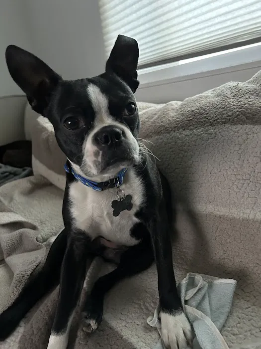 Willowbrook Animal Clinic Picture 6