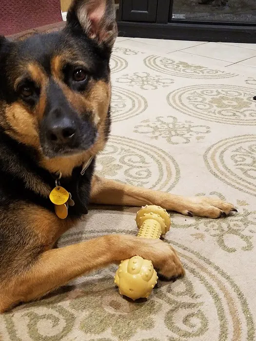 Willowbrook Animal Clinic Picture 10