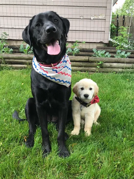 Angels Pet World Too Picture 2