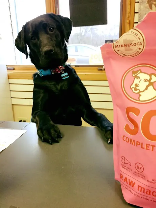 Angels Pet World Too Picture 3