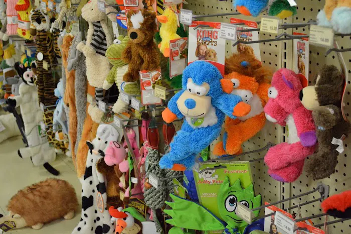 Angels Pet World Too Picture 5