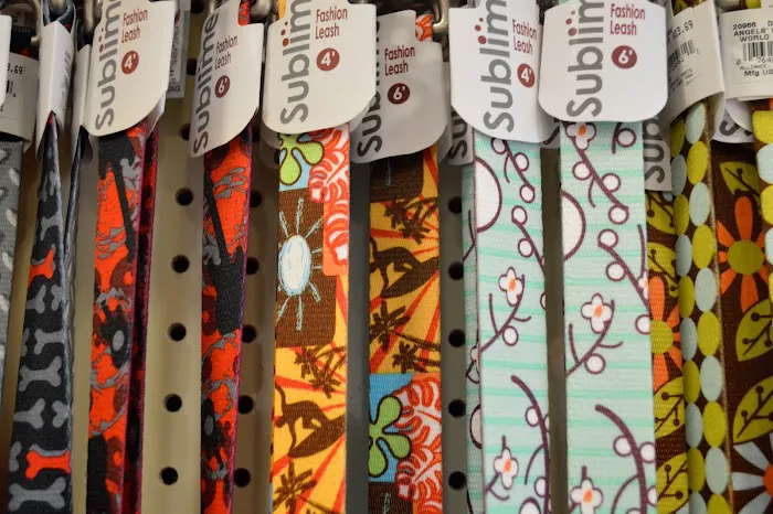 Angels Pet World Too Picture 7