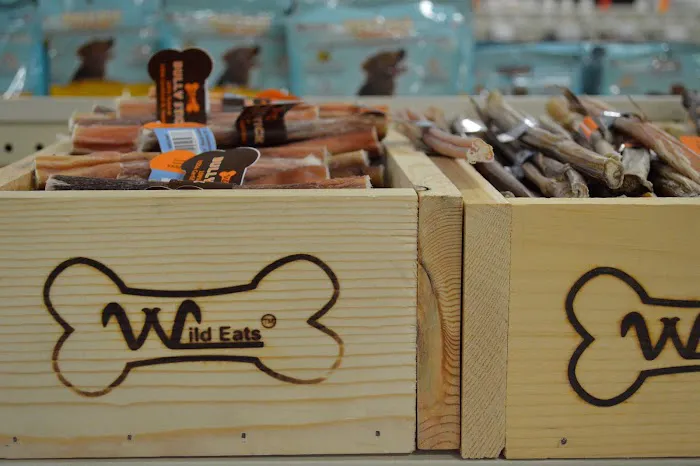 Angels Pet World Too Picture 8