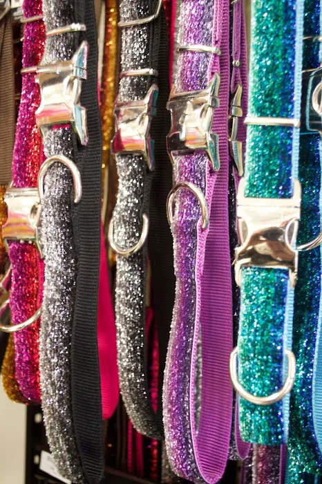 Angels Pet World Too Picture 9