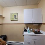 All Creatures Great & Small Animal Hospital