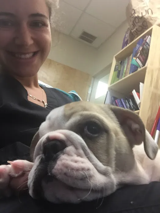 Montville Animal Hospital Picture 8