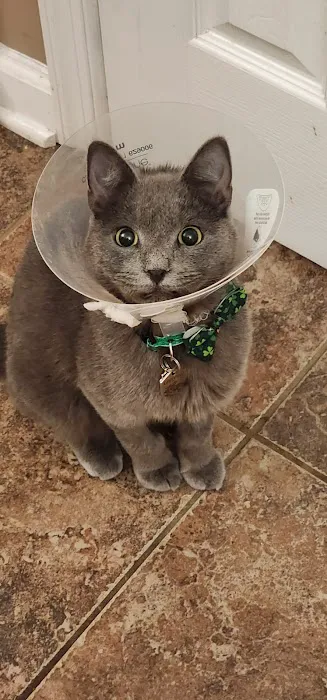 Montville Animal Hospital Picture 1