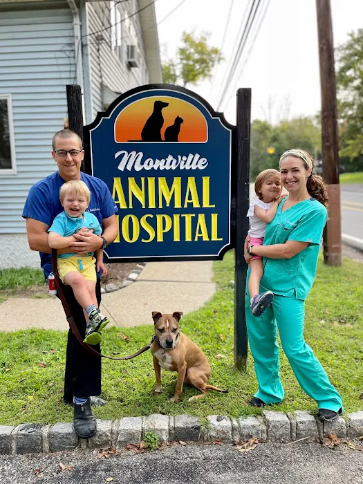 Montville Animal Hospital Picture 6