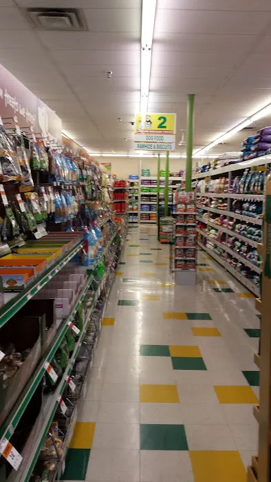 Pet Supplies Plus Bloomington Picture 8