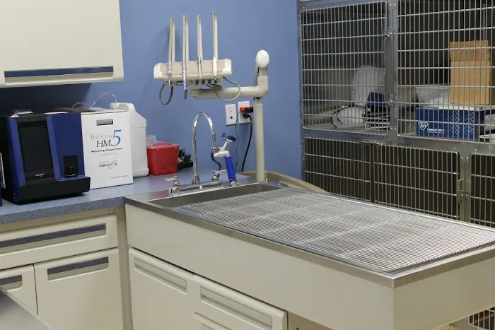 Faith Veterinary Clinic Services Picture 4