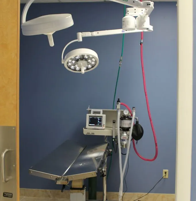Faith Veterinary Clinic Services Picture 3