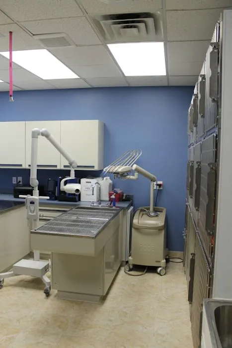 Faith Veterinary Clinic Services Picture 2