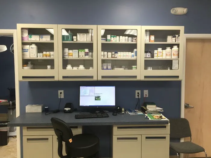 Faith Veterinary Clinic Services Picture 9