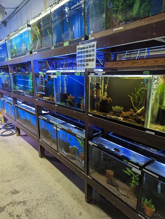 Forest Lake Pets Picture 1