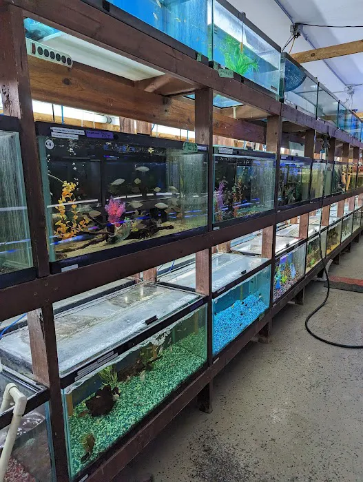 Forest Lake Pets Picture 2